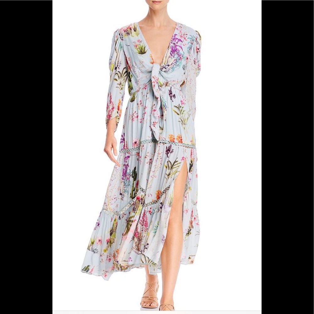 Hemant & Nandita Liv embellished maxi dress